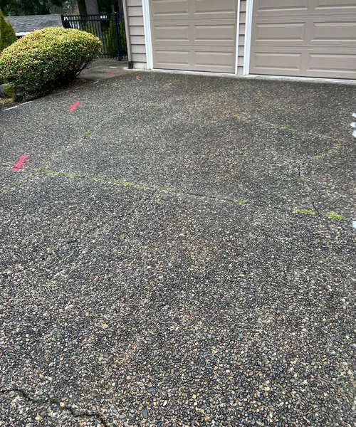 Broom Finish Driveway With Decorative Borders in Edmonds 